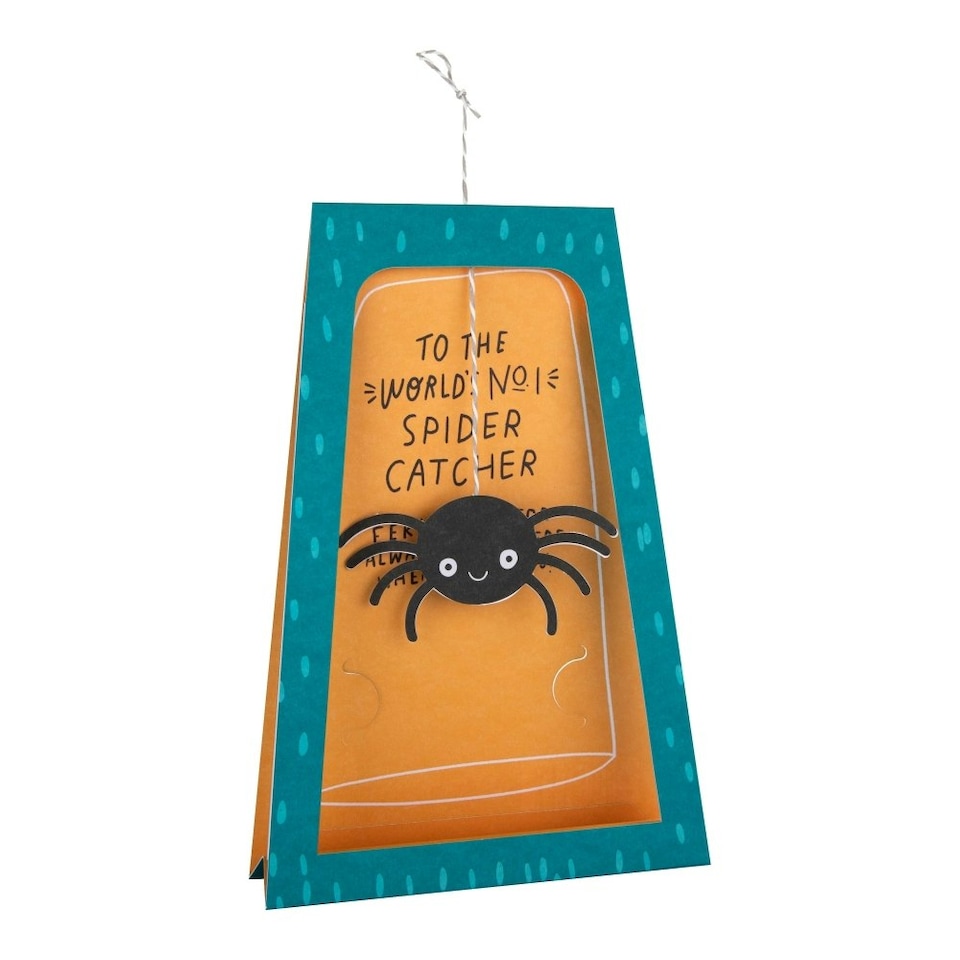 image 1 of 3D & Pop-Up Spider Catcher Design Father's Day Card