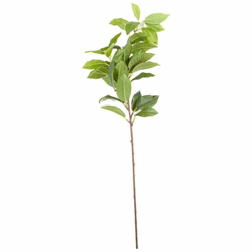 image 1 of Laurel Leaf Spray Artificial Plant - Fabric/Plastic - L8 x W8 x H60 cm - Green
