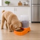 image 2 of Automatic Pet Feeder Bowl for Food or Water - Orange