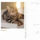 image 2 of Cats Wiro Wall Calendar 2026