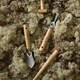 image 4 of Burgon & Ball Cell Tray Trowels