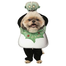 Bristol Novelty Head On A Platter Dog Costume - Green/White - S