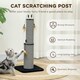 image 4 of PawHut Cat Scratch Post 2-in-1 with 3 Toy Feathers, 78cm Tall, Black