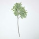 image 4 of Homescapes Frosted Sage Leaf Christmas Spray