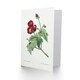 image 2 of Pierre-Joseph Redouté Art Card Callirhoe Poppy Mallow Flower