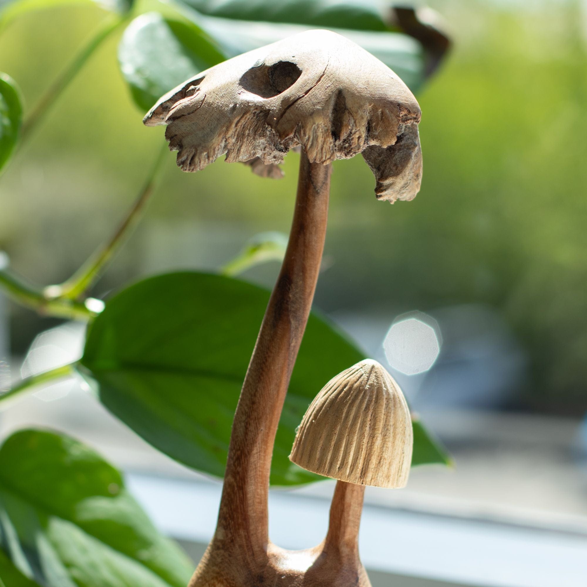 Serenityy Handmade Parasite Wood Mushroom Carving Set of Two in Natural | Size: 2 Pack
