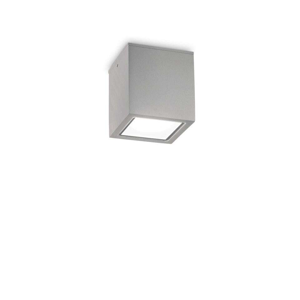 Techo Small Surface Mounted Downlight Grey IP54