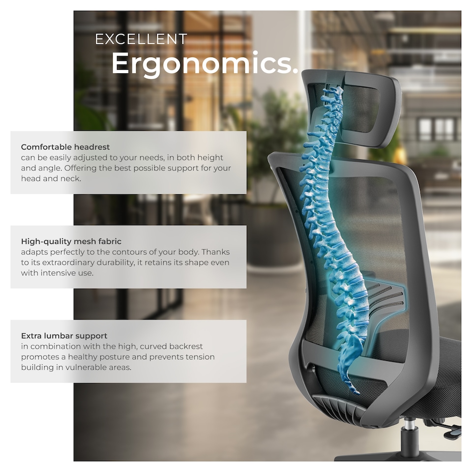 image 1 of Office Chair Phoebe - ergonomic shape, lumbar support, adjustable headrest