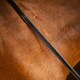 image 8 of LeMieux Rubber Half lined Reins Brown | Pony