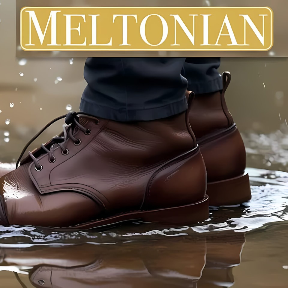 image 1 of Meltonian Water & Stain Protector Aerosol - Leather Shield Spray 250ml