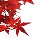 image 2 of Artificial Red Maple Tree 120cm | Red | 4ft