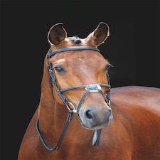 Shires Salisbury Brackley Bridle Black | Size: Pony
Colour: Black