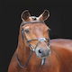 image 1 of Shires Salisbury Brackley Bridle Black | Size: Pony
Colour: Black