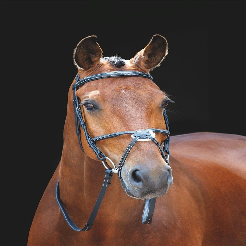 image 1 of Shires Salisbury Brackley Bridle Black | Size: Pony
Colour: Black