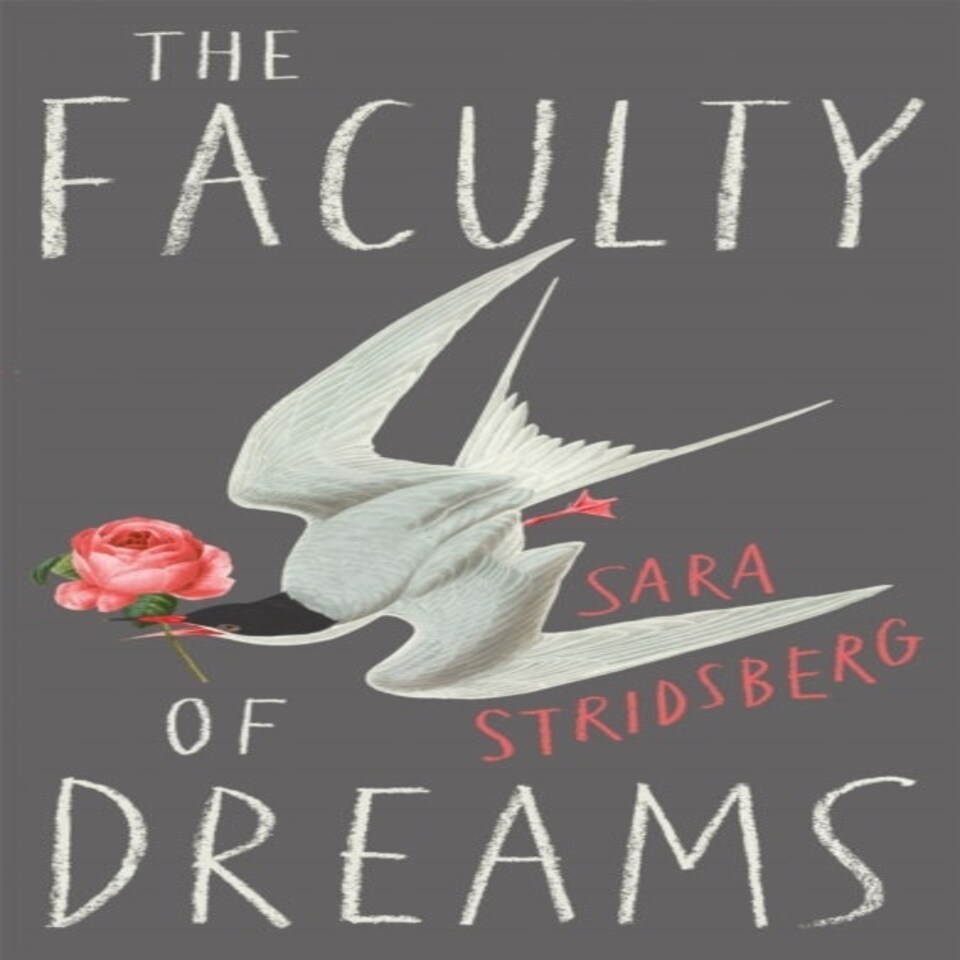 Faculty Of Dreams