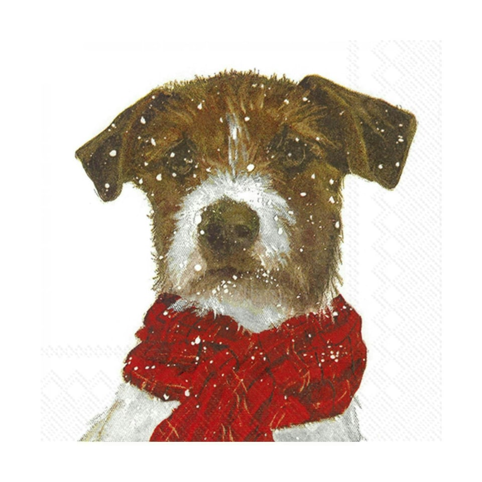 IHR  Archie Cocktail Napkins 25cm 3ply  20 Pack