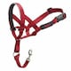 image 1 of Halti Dog Head Collar - Red - 1