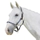 image 1 of Kincade Leather Rope Headcollar - Navy/Brown - Cob