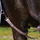 image 3 of Weatherbeeta Comfitec Essential Combo Neck Horse Turnout Rug - Navy/Silver/Red - 6´ 5"
