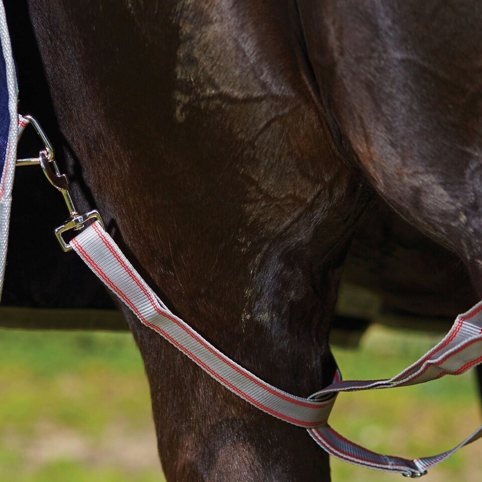 image 1 of Weatherbeeta Comfitec Essential Combo Neck Horse Turnout Rug - Navy/Silver/Red - 6´ 5"