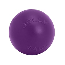 Jolly Pets Push-N-Play Dog Ball - Purple - 10in