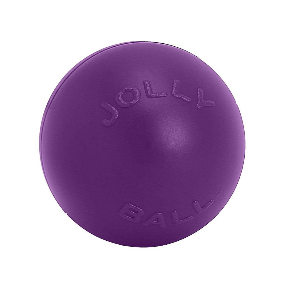 Jolly Pets Push-N-Play Dog Ball - Purple - 10in
