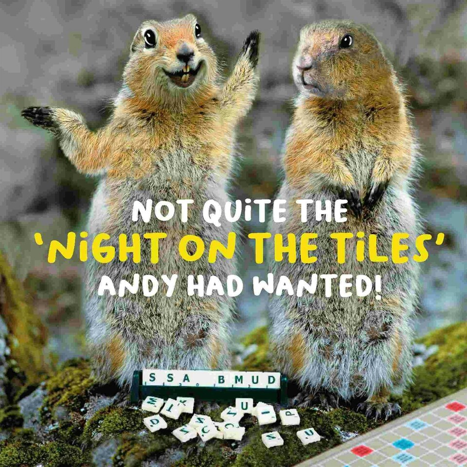 Virtual Safari, Birthday Card for Him, "Not Quite the 'Night on the Tiles' Andy had Wanted" Male Birthday Card, Funny Birthday Card for Him