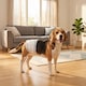 image 2 of PawHut Dog Diapers Super Absorbent for Male Dogs Size L