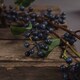 image 3 of Viburnum Berry Artificial Plant - Plastic - L11 x W11 x H80 cm - Blue