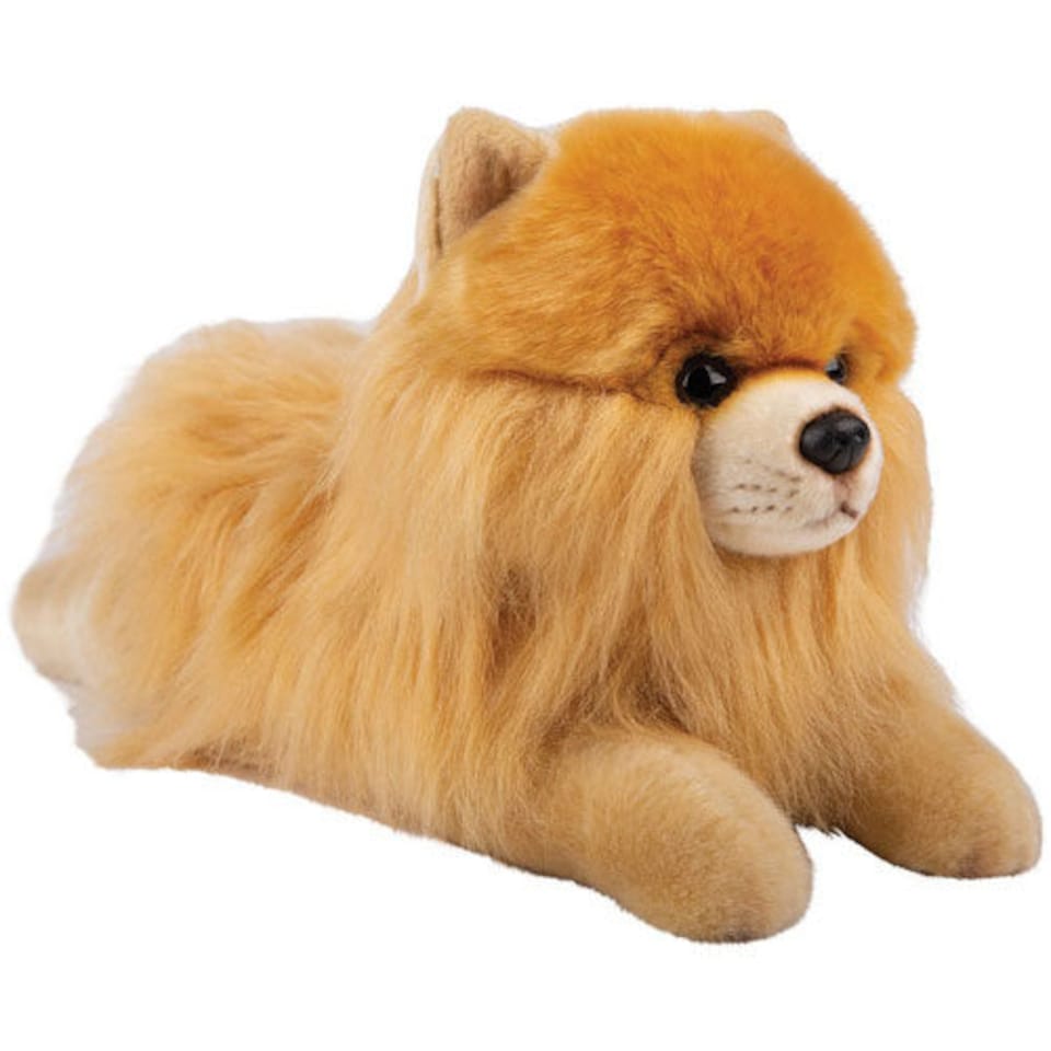 30Cm Lying Pomeranian