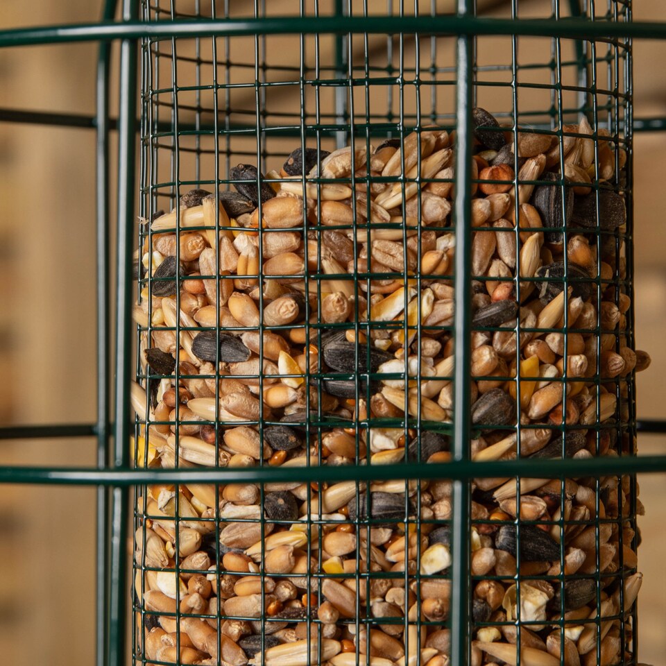 image 1 of Pack of 4 Wild Bird Hanging Nut Feeder with Squirrel Guard