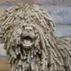 image 5 of Gifts Direct 2 U Beige Resin Dreadlock Dog Figurine Ornament Brown