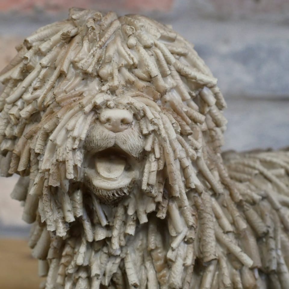 image 1 of Gifts Direct 2 U Beige Resin Dreadlock Dog Figurine Ornament Brown