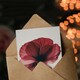image 3 of Elegant Poppy Flowers Xray Bright Floral Her Birthday Card
