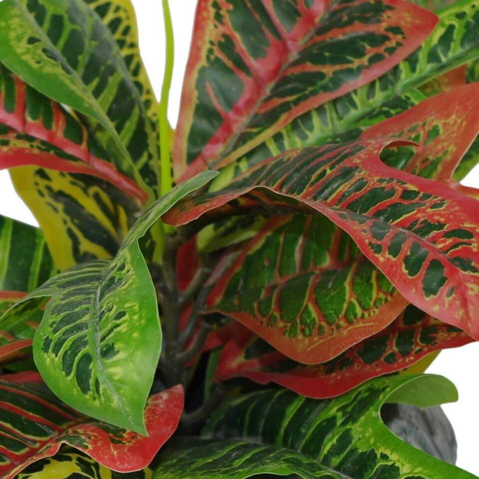 image 1 of 40cm Artificial Codiaeum Multicoloured House Plant