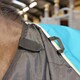 image 5 of Shires Warmarug Thermal System 200 Black | Size: 5ft 3
Colour: Black
