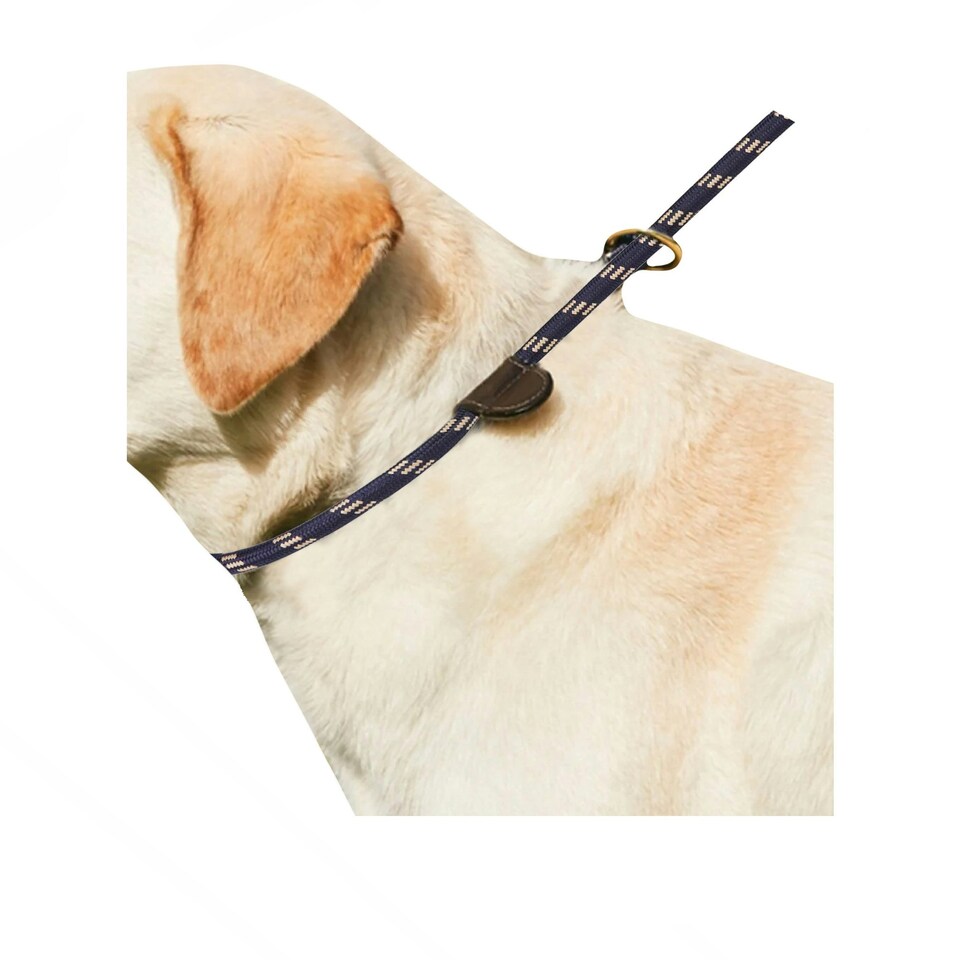 image 1 of Weatherbeeta Rope Leather Slip Dog Lead - Navy/Brown - 1.2m