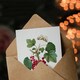 image 3 of Pierre-Joseph Redouté Art Card Redcurrant Berries and Butterfly