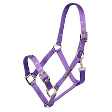 ARMA Adjustable Horse Headcollar - Purple - X Full Purple | XL