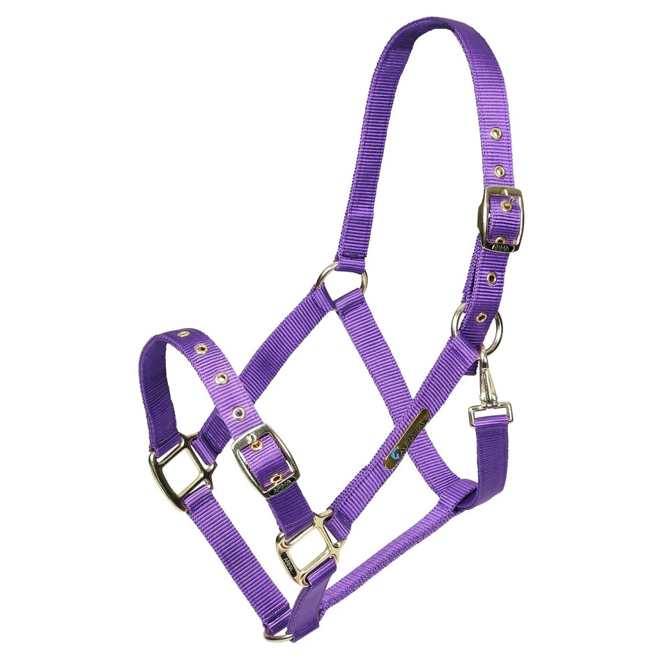 ARMA Adjustable Horse Headcollar - Purple - X Full Purple | XL