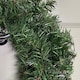 image 6 of 45cm Plain Green Colorado Christmas Door Wreath with PVC Tips