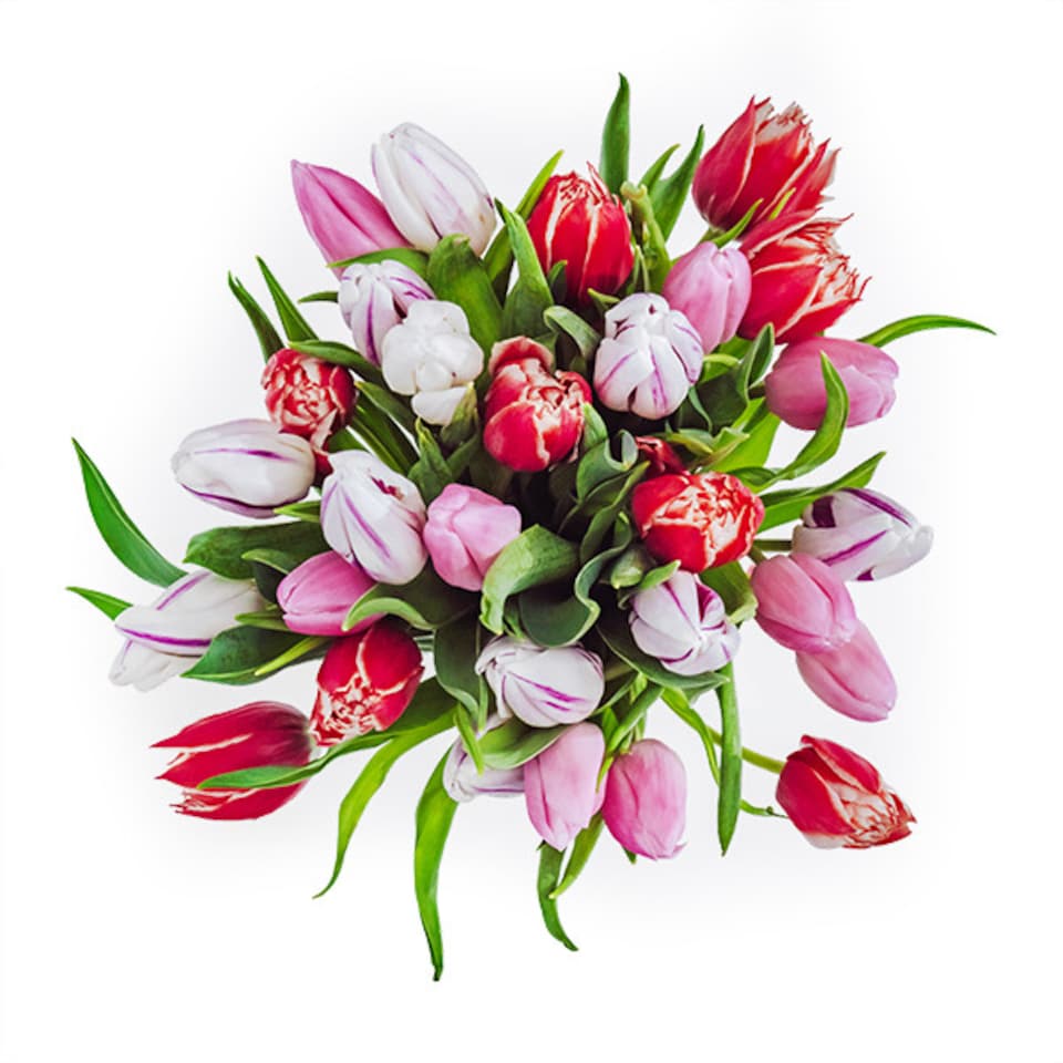 image 1 of Vase of Tulips