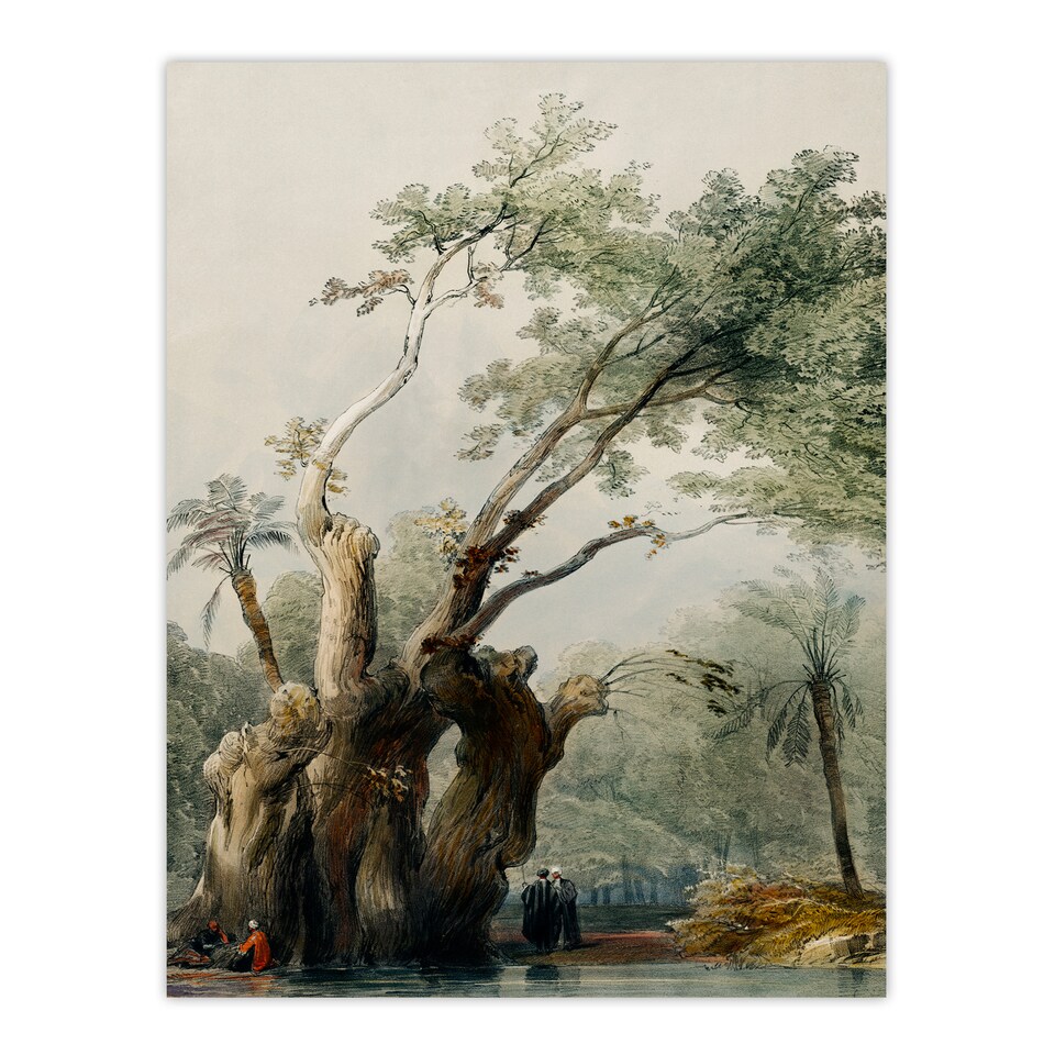 image 1 of David Roberts Framed Wall Art Print The Holy Tree of Metereah Home Décor