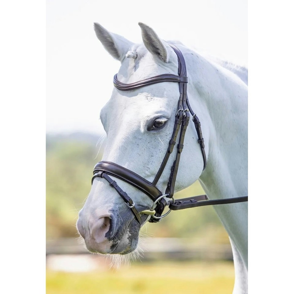 image 1 of Velociti Leather Horse Dressage Bridle - Havana - Cob