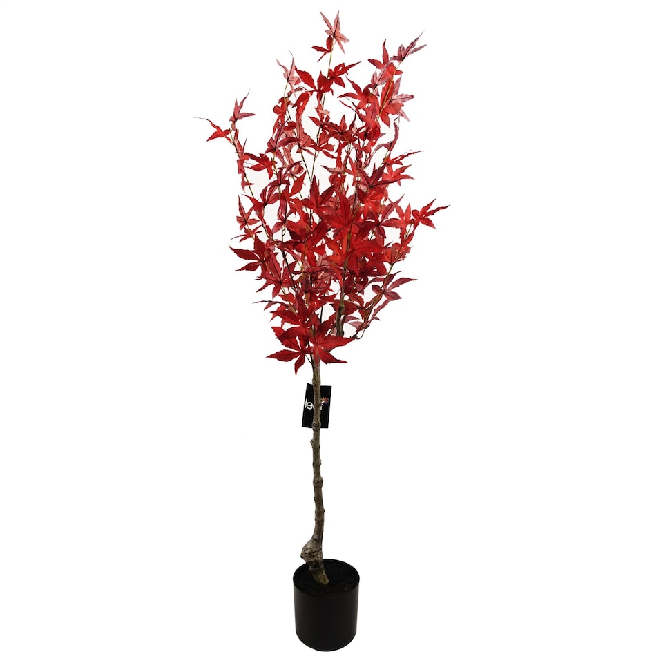 image 1 of Artificial Red Maple Tree 120cm | Red | 4ft