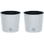 White & Set of 2