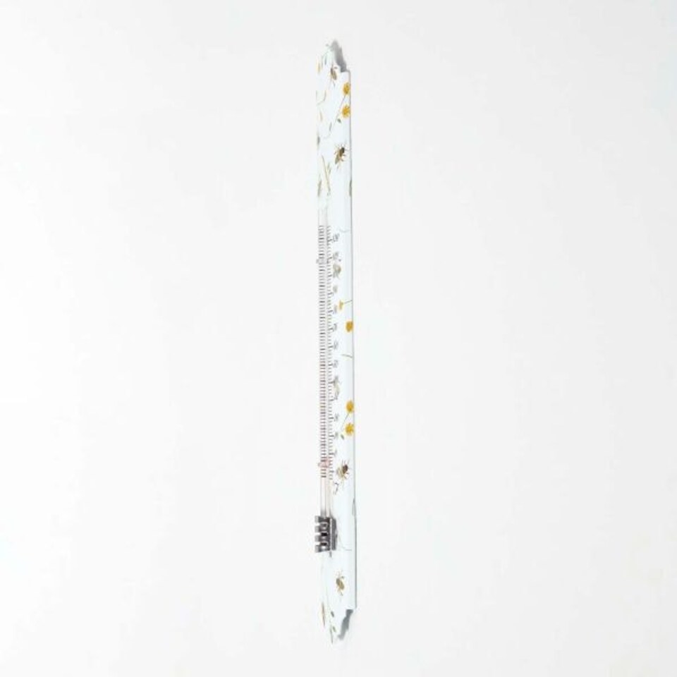image 1 of Homescapes Outdoor Thermometer with Bee Design