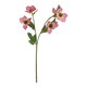 image 1 of The Natural Garden Collection Varigated Hellibore - Artificial Flower (Single Stem) - Plastic - H47 cm - Pink