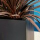 image 4 of Primrose Zinc Galvanised Outdoor Black Cube Ornamental Planter Extra Large 50cm