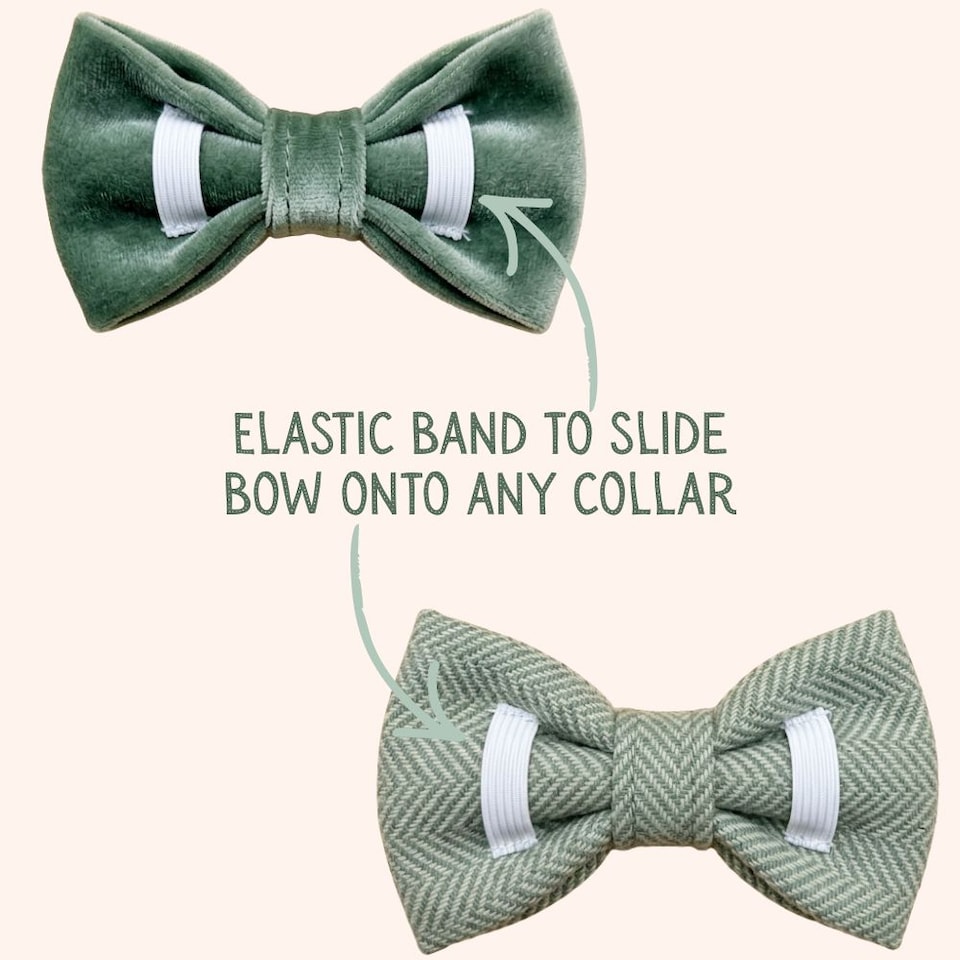 image 1 of Tails of Glory Green Tweed and Velvet Bow Set